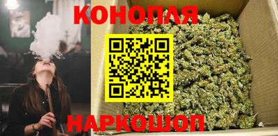 a pvp Кингисепп