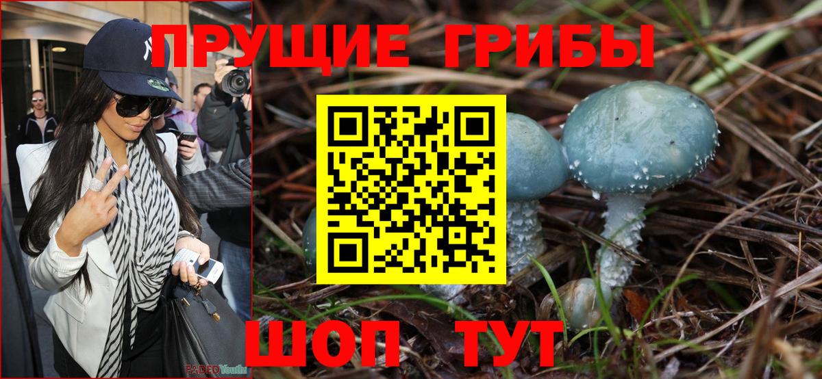 Валуйки  Псилоцибиновые грибы MAGIC MUSHROOMS  Псилоцибиновые грибы GOLDEN TEACHER  Вход с VPN 